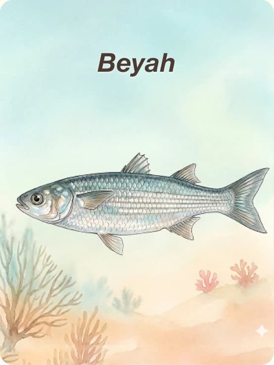 Fish card: Beyah