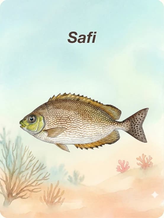 Fish card: Safi