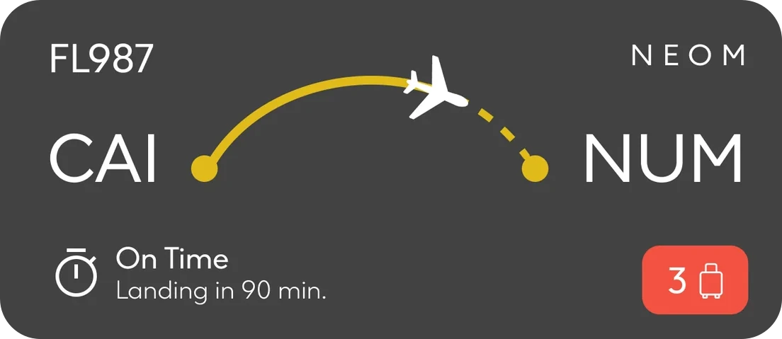 A Live Activity for flight FL987 from CAI to NUM: a plane on a yellow arc, On Time, landing in 90 minutes, gate 3
