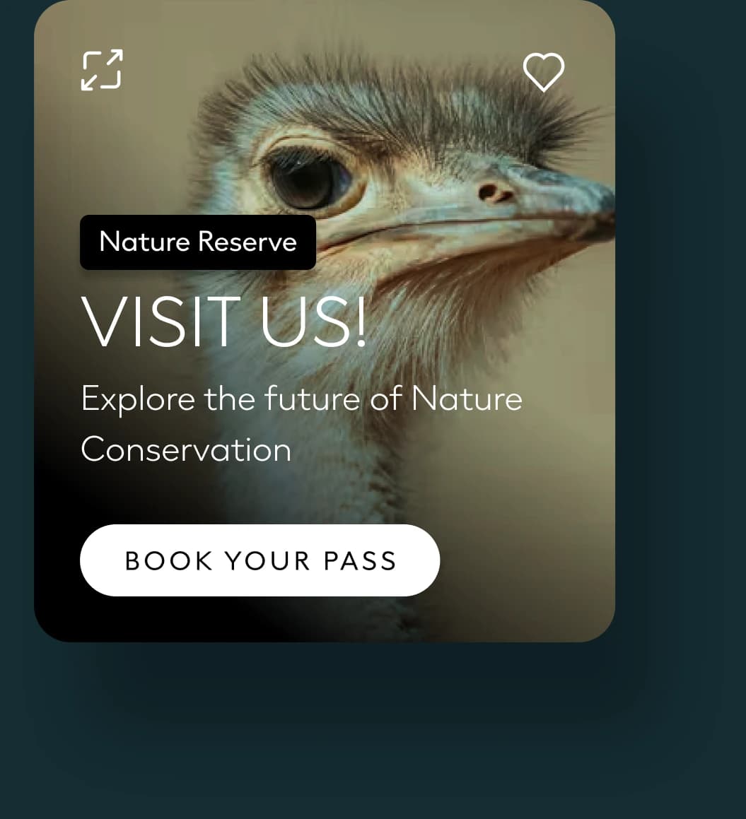 Card with a close-up of an ostrich, the place tag Nature Reserve, the title Visit us!, the line Explore the future of Nature Conservation and a Book your pass button