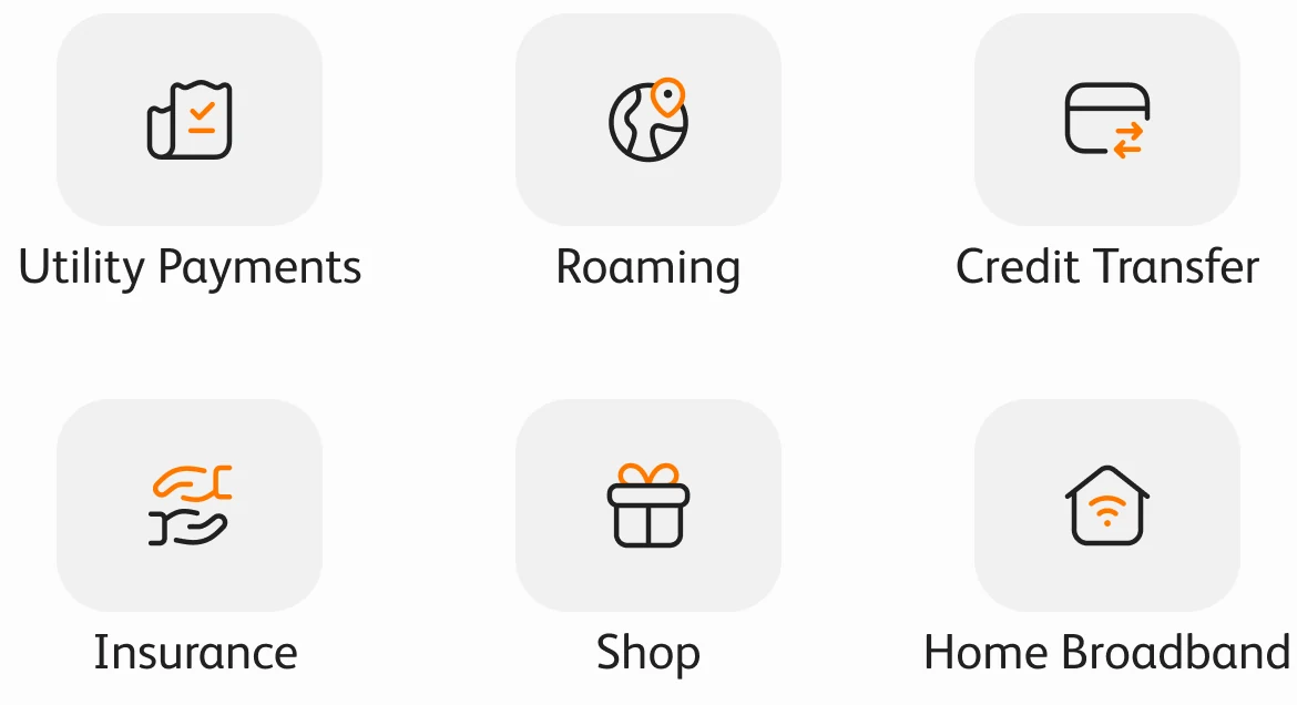The services grid: utility payments, roaming, credit transfer, insurance, shop and home broadband