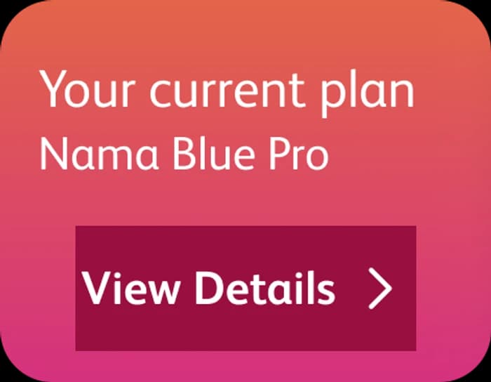 Nama card: your current plan, Nama Blue Pro, View details
